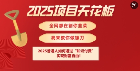 2025项目天花板普通人如何通过知识付费，实现财F自由【揭秘】-温暖资源库