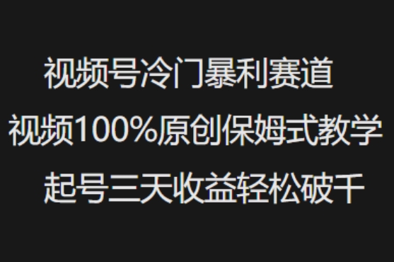 视频号冷门暴利赛道视频100%原创保姆式教学起号三天收益轻松破千-温暖资源库