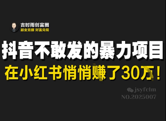 抖音不敢发的暴利项目，在小红书悄悄挣了30W-温暖资源库
