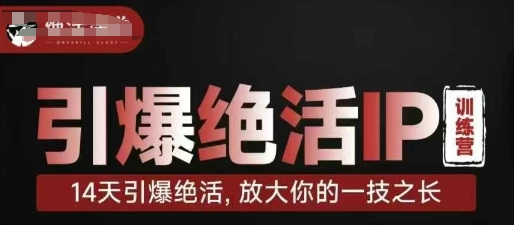 引爆绝活IP训练营，14天引爆绝活，放大你的一技之长-温暖资源库
