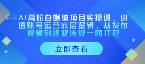 AI高阶自媒体项目实操课，讲透账号运营底层逻辑，从发布视频到规避违规一网打尽-温暖资源库