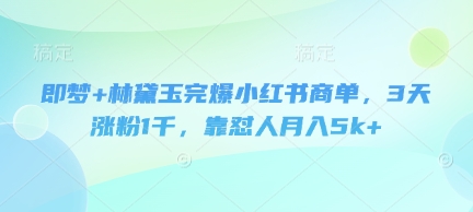 即梦+林黛玉完爆小红书商单，3天涨粉1千，靠怼人月入5k+-温暖资源库
