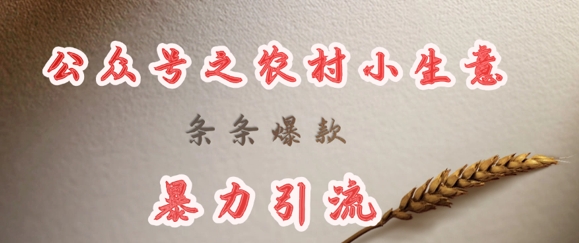 deepseek写农村小项目，条条爆款，暴力引流-温暖资源库