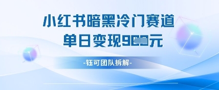 小红书冷门”暗黑”赛道，单日收益多张-温暖资源库