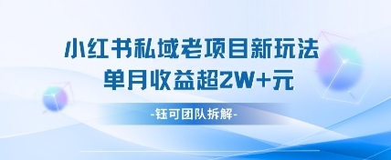 小红书私域项目新玩法，单月变现过W+-温暖资源库