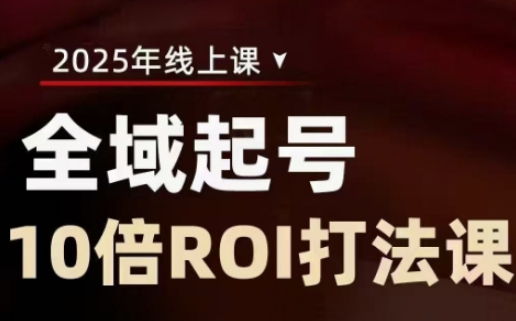 2025全域起号10倍ROI打法课，助你提升直播间的投资回报率-温暖资源库