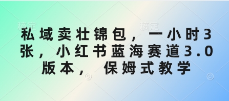 私域卖壮锦包，一小时3张，小红书蓝海赛道3.0版本， 保姆式教学-温暖资源库
