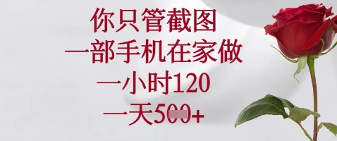 你只管截图，一部手机在家做，苹果安卓都可以，一小时120，一天5张+【揭秘】-温暖资源库