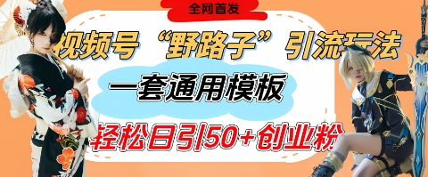 视频号“野路子”玩法，评论区疯狂截流，一套模板单日单号引流50+创业粉-温暖资源库