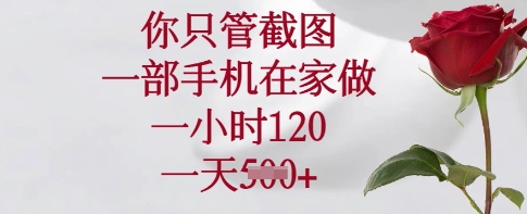 你只管截图，一部手机在家做，一小时120.一天5张【揭秘】-温暖资源库