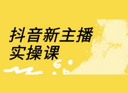抖音新主播实操课，直播间流量运营线上实操课(18节)-温暖资源库