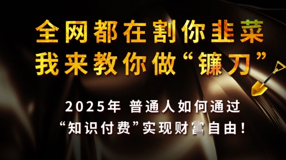 全网都在割你韭菜，我来教你做镰刀，2025普通人如何通过知识付费，实现财F自由【揭秘】-温暖资源库