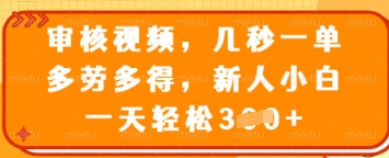 审核视频，几秒一单，多劳多得，新人小白一天轻松3张【揭秘】-温暖资源库