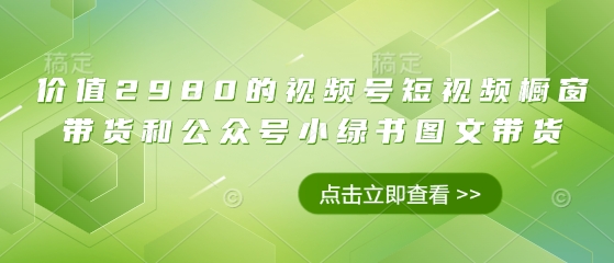 价值2980的视频号短视频橱窗带货和公众号小绿书图文带货-温暖资源库