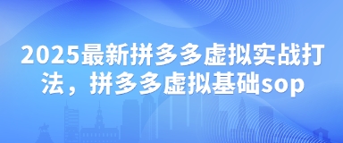 2025最新拼多多虚拟实战打法，拼多多虚拟基础sop-温暖资源库