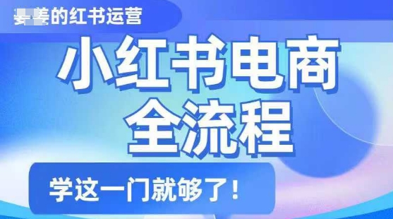 小红书电商全流程，精简易懂，从入门到精通，学这一门就够了-温暖资源库