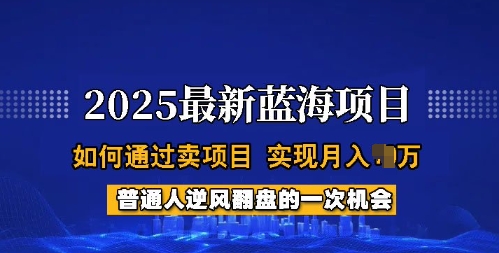 2025蓝海项目，普通人如何通过卖项目，实现月入过W，全过程【揭秘】-温暖资源库