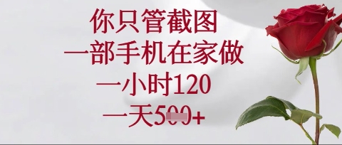你只管截图，一部手机在家操作，一小时120.一天5张【揭秘】-温暖资源库