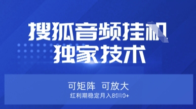【搜狐音频挂G】独家技术，可矩阵可放大，红利期稳定月入8k【揭秘】-温暖资源库