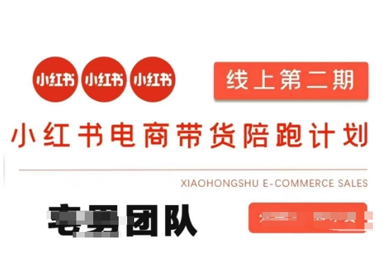 小红书电商带货课2期，月利润20个的小红书电商的有货源，无货源，虚拟产品，付费投流等整套玩法-温暖资源库
