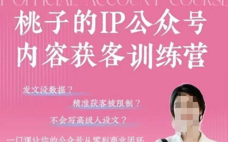 桃子IP公众号内容获客训练营(第3期)，一门让你公众号从0到商业闭环的课程-温暖资源库