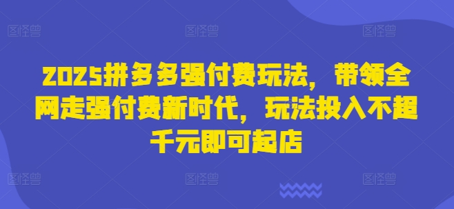 2025拼多多强付费玩法，带领全网走强付费新时代，玩法投入不超千元即可起店-温暖资源库