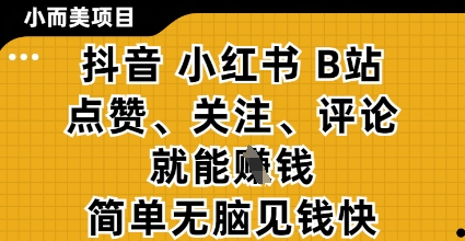 小而美的项目，抖音小红书B站视频点赞、关注、评论就能挣钱，简单无脑立见收益，妥妥的零撸项目【揭秘】-温暖资源库