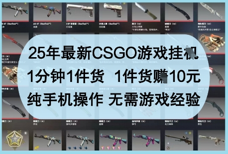 25年最新CSGO游戏挂G，1分钟1件货，1件货挣10元，纯手机操作，无需游戏经验【揭秘】-温暖资源库