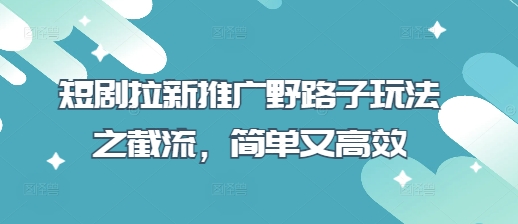短剧拉新推广野路子玩法之截流，简单又高效-温暖资源库
