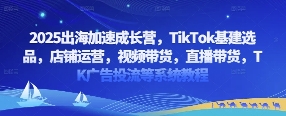 2025出海加速成长营，TikTok基建选品，店铺运营，视频带货，直播带货，TK广告投流等系统教程-温暖资源库