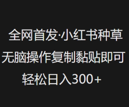 全网首发，小红书种草无脑操作，复制黏贴即可，轻松日入3张-温暖资源库