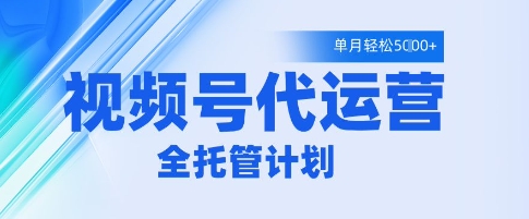 视频号代运营2.0，全程托管招募，单月轻松变现5k【揭秘】-温暖资源库