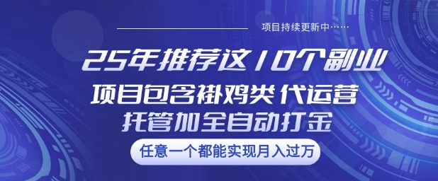 25年推荐这10个副业项目包含褂鸡类、代运营托管类、全自动打金类【揭秘】-温暖资源库