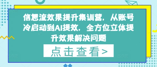 信息流效果提升集训营，从账号冷启动到AI提效，全方位立体提升效果解决问题-温暖资源库