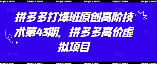 拼多多打爆班原创高阶技术第43期，拼多多高价虚拟项目-温暖资源库