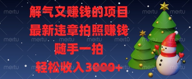 解气又挣钱的项目，最新违章拍照挣钱，随手一拍，轻松收入数张【揭秘】-温暖资源库