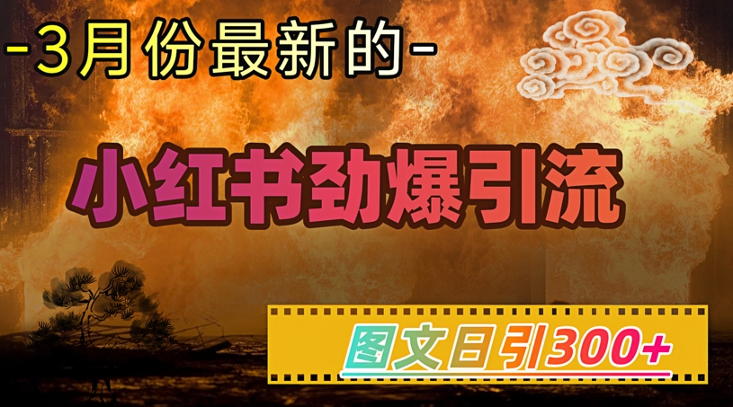 小红书超劲爆引流手段，图文日引300+轻松变现1W-温暖资源库