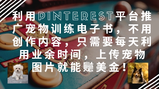 利用Pinterest平台推广宠物训练电子书，不用创作内容，只需要每天利用业余时间，上传宠物图片就能挣美金!-温暖资源库