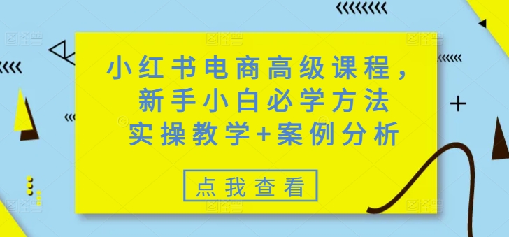 小红书电商高级课程，新手小白必学方法，实操教学+案例分析-温暖资源库