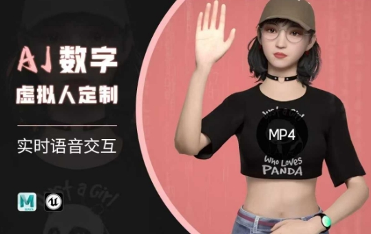 Ai数字人虚拟(智能体)实时语音交互特训营，​自行定制超写实角色AI数字人交互技术-温暖资源库