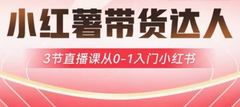 小红薯达人带货启航计划，3节直播课从0-1入门小红书-温暖资源库