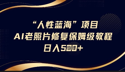人性蓝海AI老照片修复项目保姆级教程，长期复购，轻松日入5张-温暖资源库