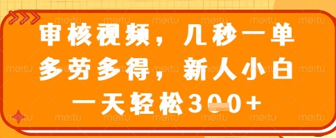 审核视频，几秒一单，多劳多得，新人小白一天轻松3张【揭秘】-温暖资源库